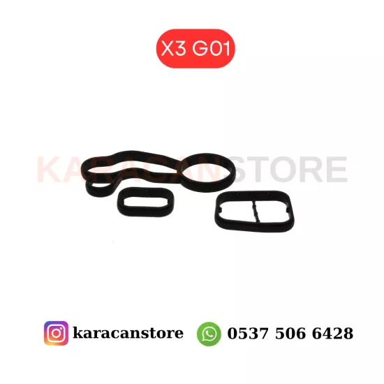 Bmw X3 G01 B46 B48 Yağ Soğutucu Contası